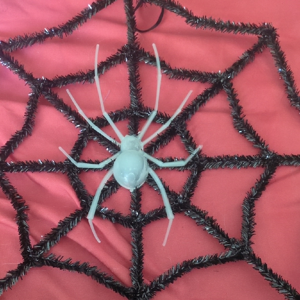 Black Spider Web with White Spider Decor